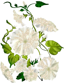 MySpace and Orkut Flower Glitter Graphic - 7