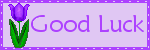 Good Luck Glitter