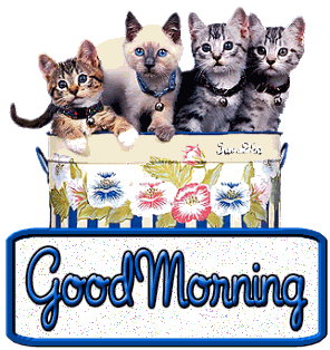 http://i287.photobucket.com/albums/ll149/glittergn/goodmorning/good_morning_cats-3798.gif