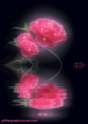 ros033.gif image by glittergn