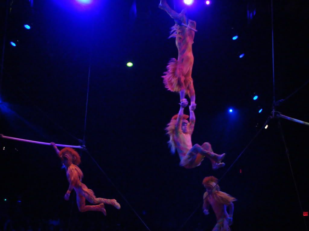 DSC00103.jpg