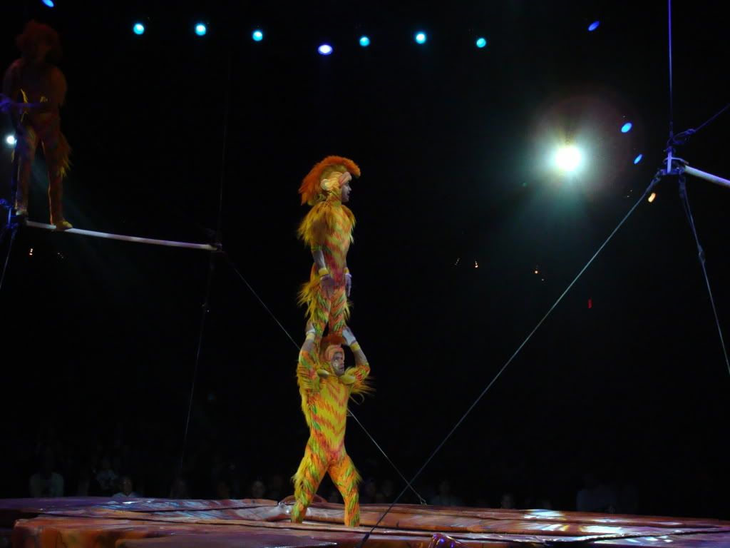 DSC00109.jpg