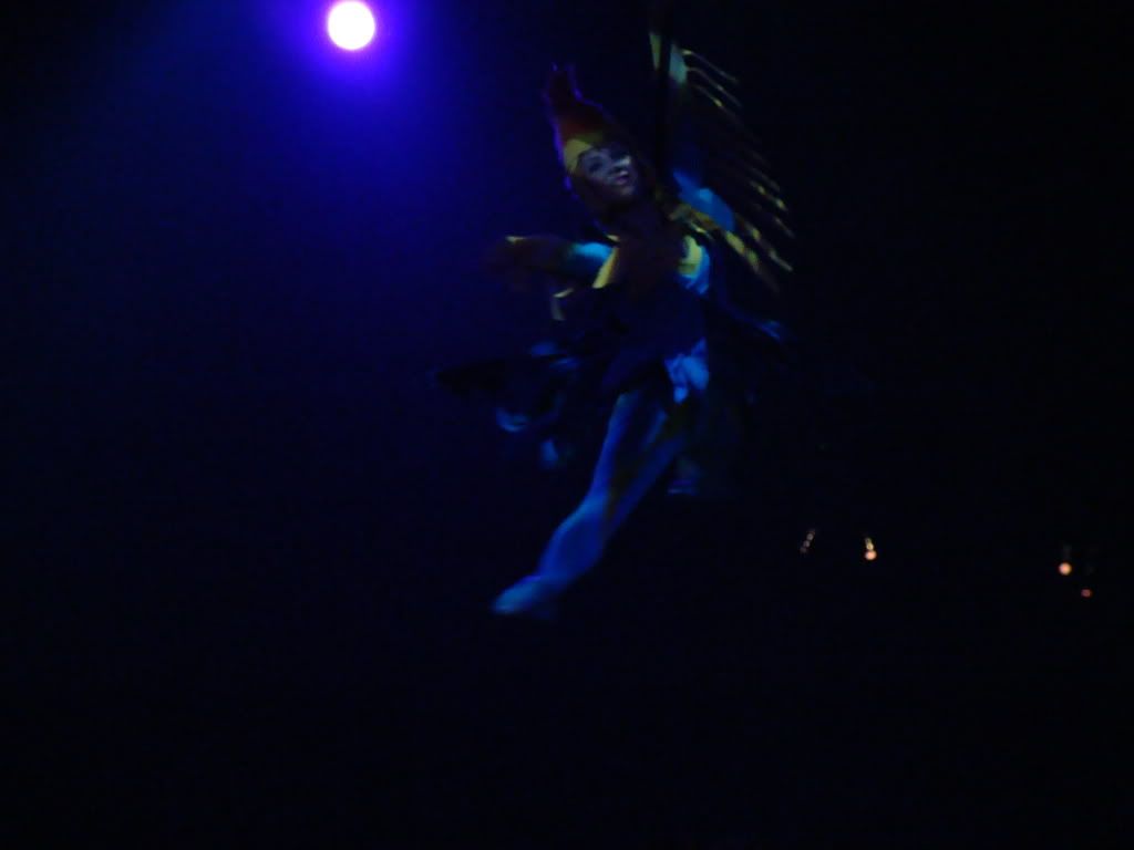 DSC00120.jpg