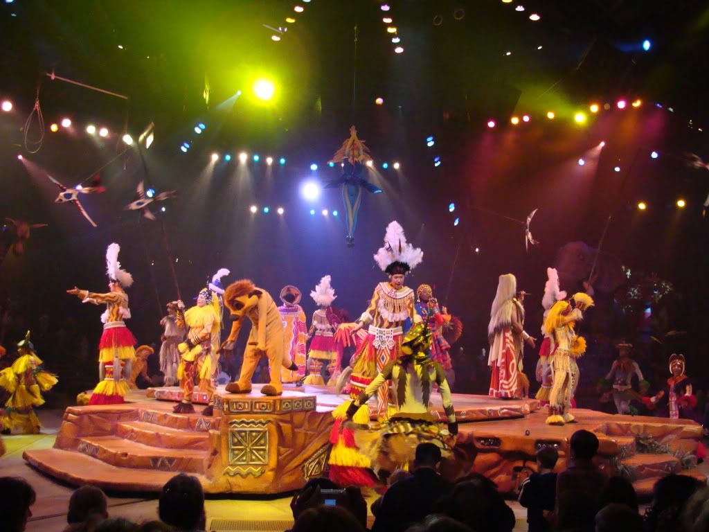 DSC00134.jpg