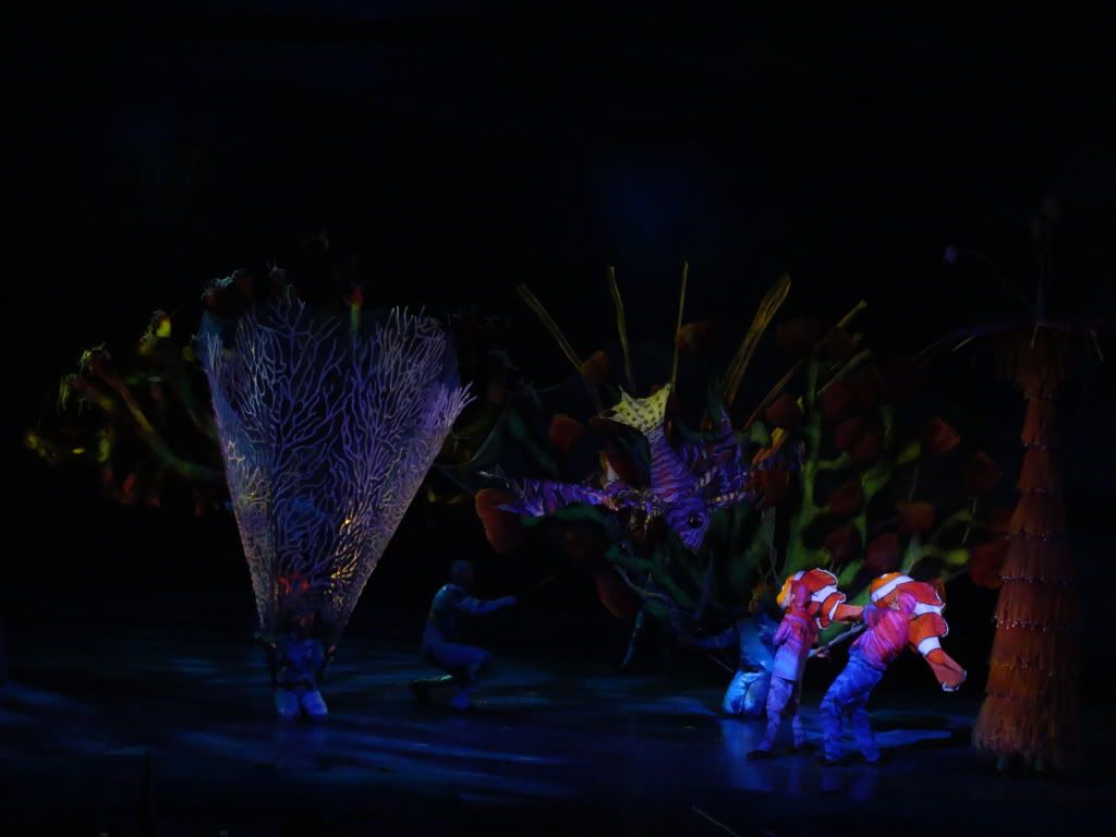 DSC00142.jpg
