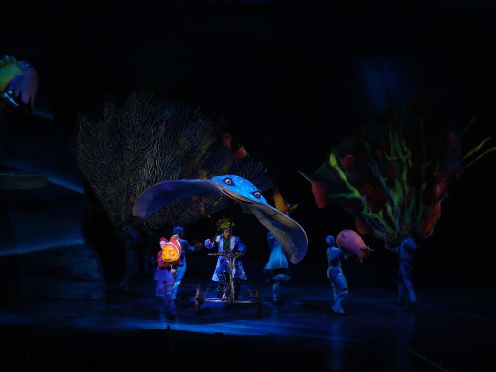DSC00145.jpg