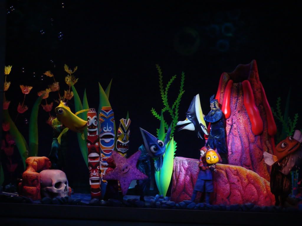 DSC00157.jpg