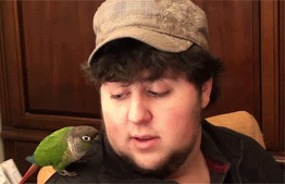 Forum Image: http://i287.photobucket.com/albums/ll150/gigalawl/tumblr_m60osw7hOz1ro16tz-1.gif