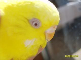 S5001675.jpg?t=1219724317