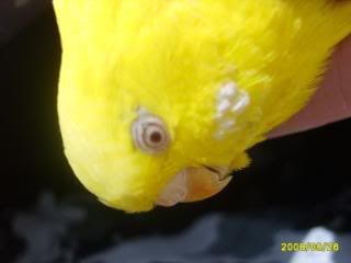 S5001676.jpg?t=1219724488