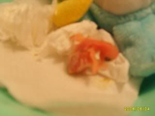 S5008731.jpg?t=1212582520