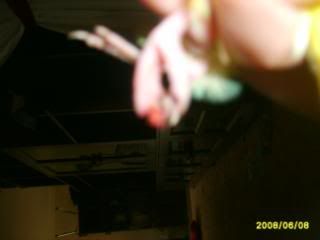 S5008895.jpg?t=1212891825