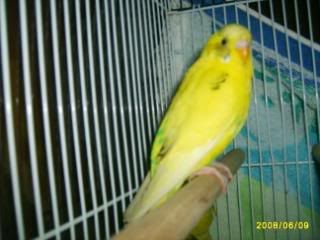 S5009009.jpg?t=1212988442