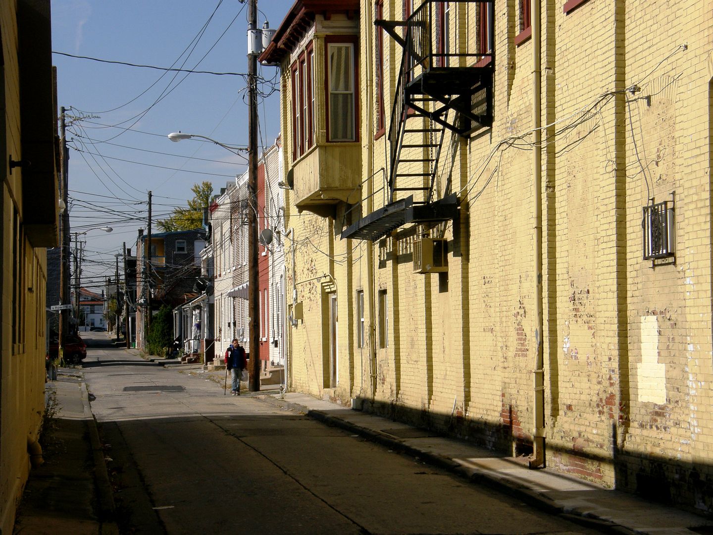 P1010604.jpg