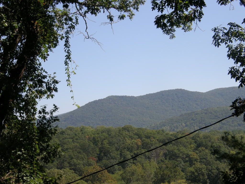 P9240130.jpg