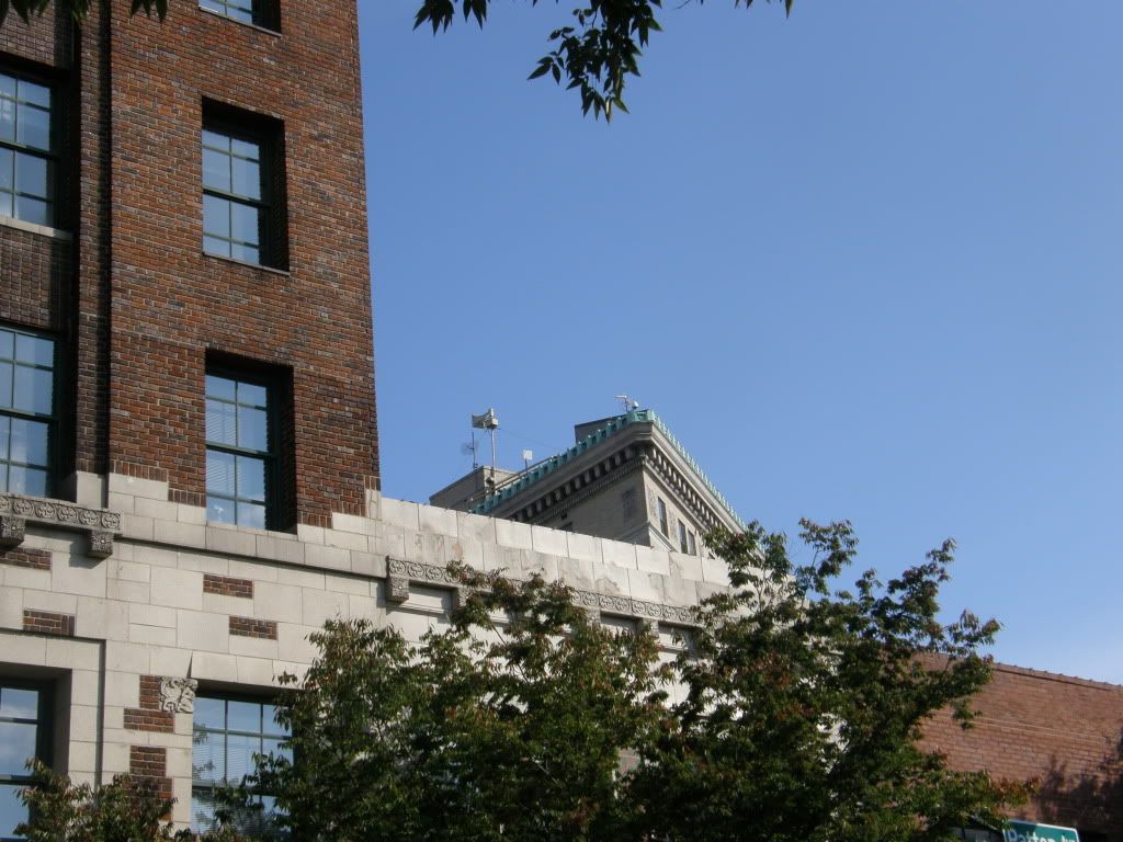 P9250010.jpg