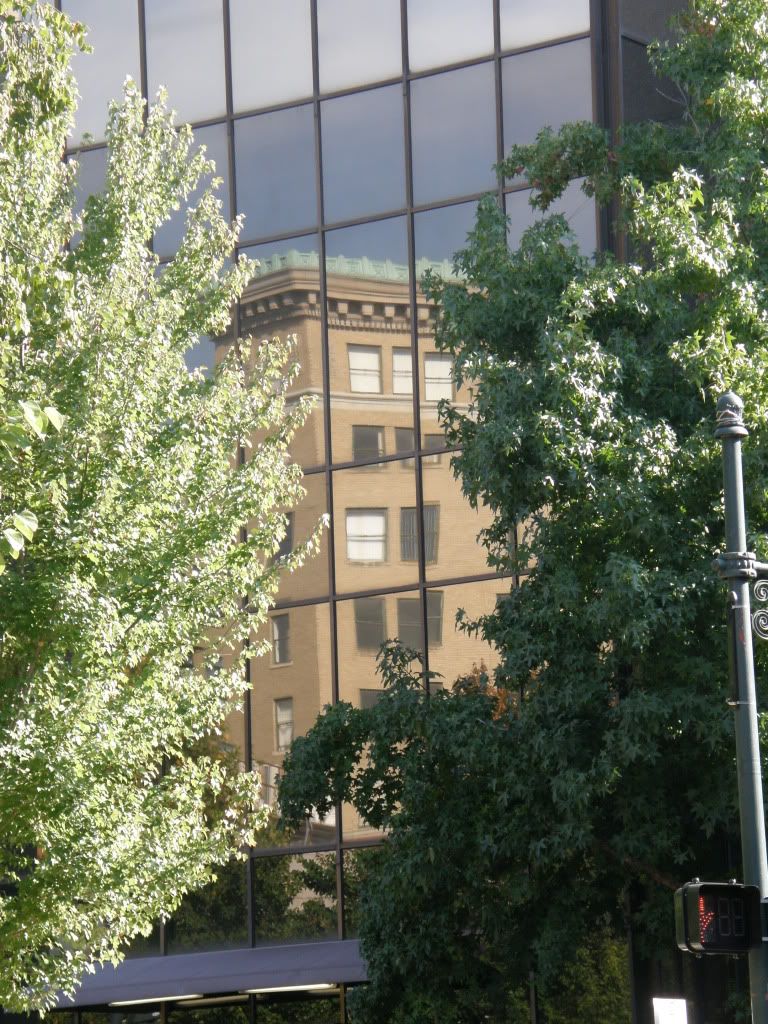 P9250019.jpg