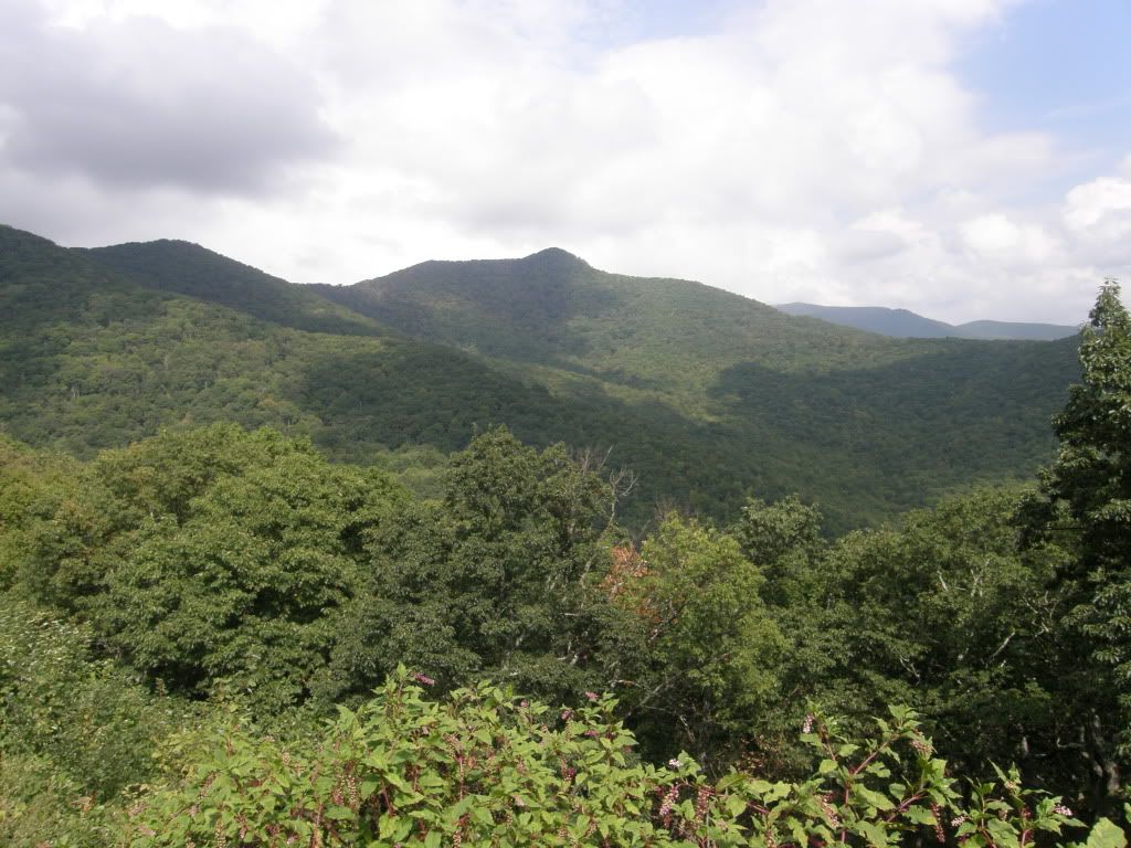 P9250136.jpg