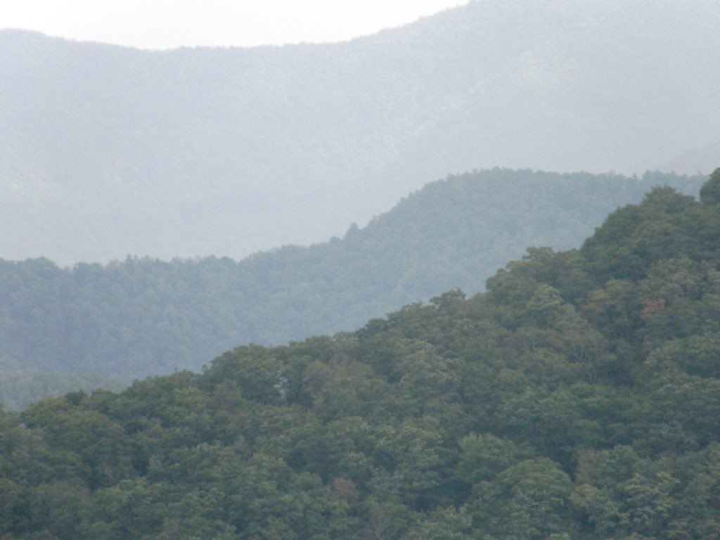 P9250144.jpg