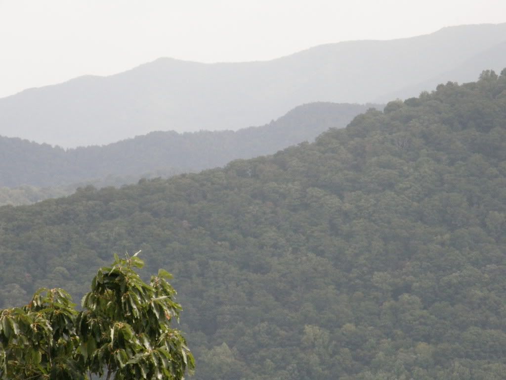 P9250145.jpg