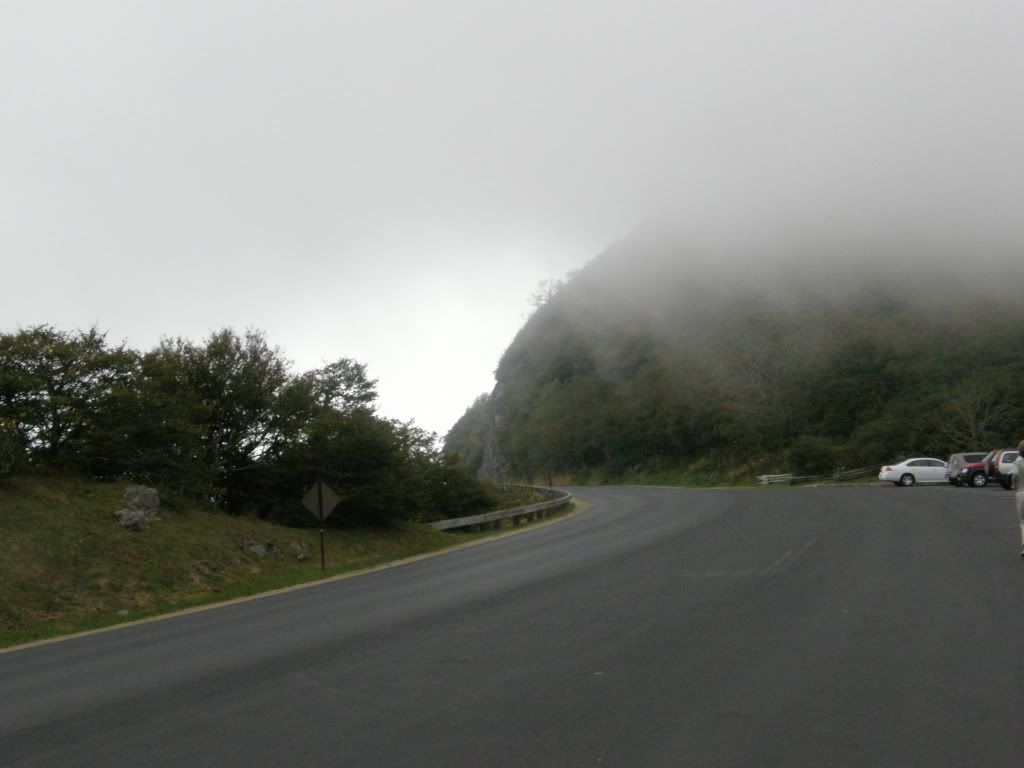 P9250154.jpg