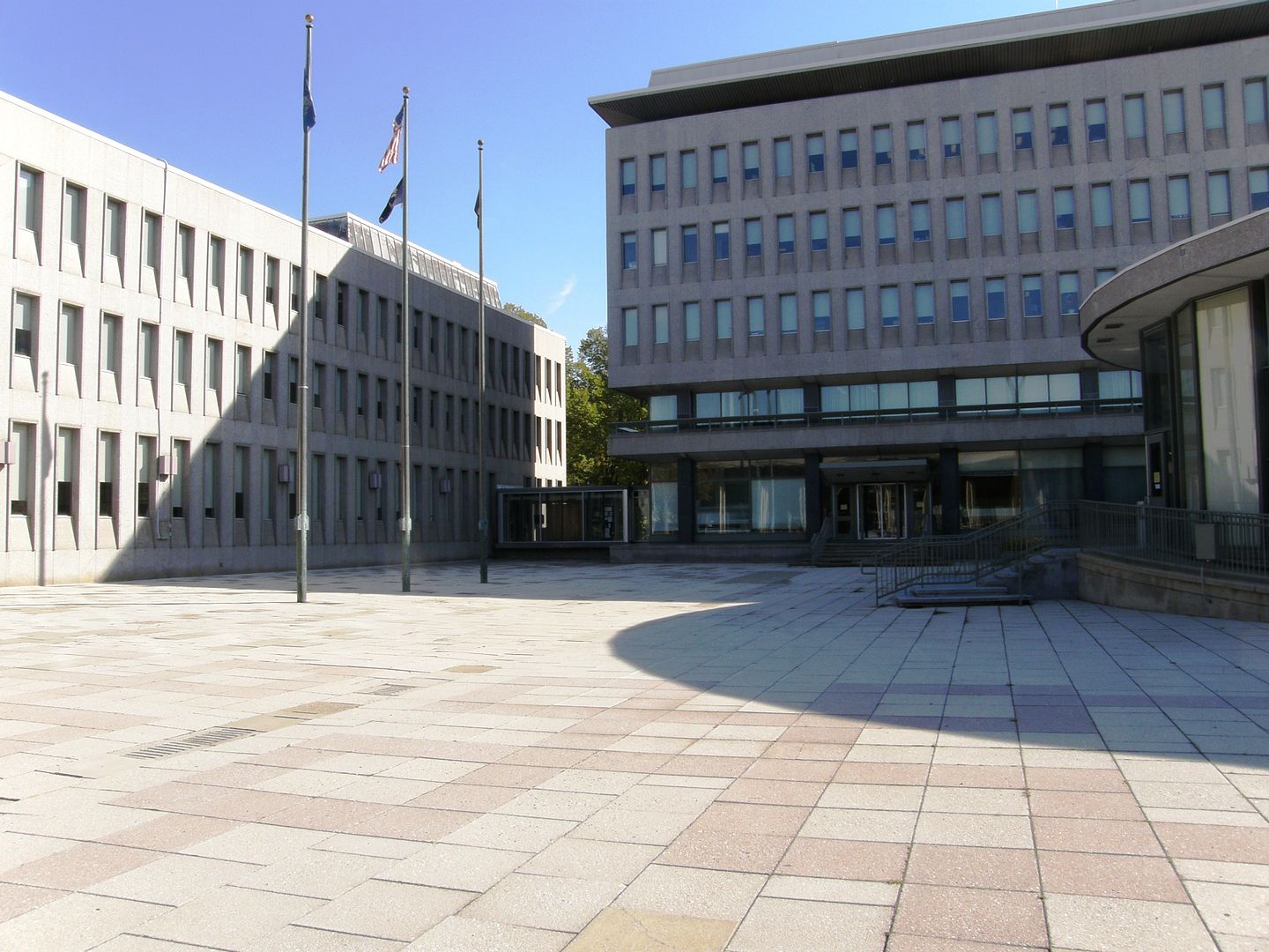 P1010557.jpg