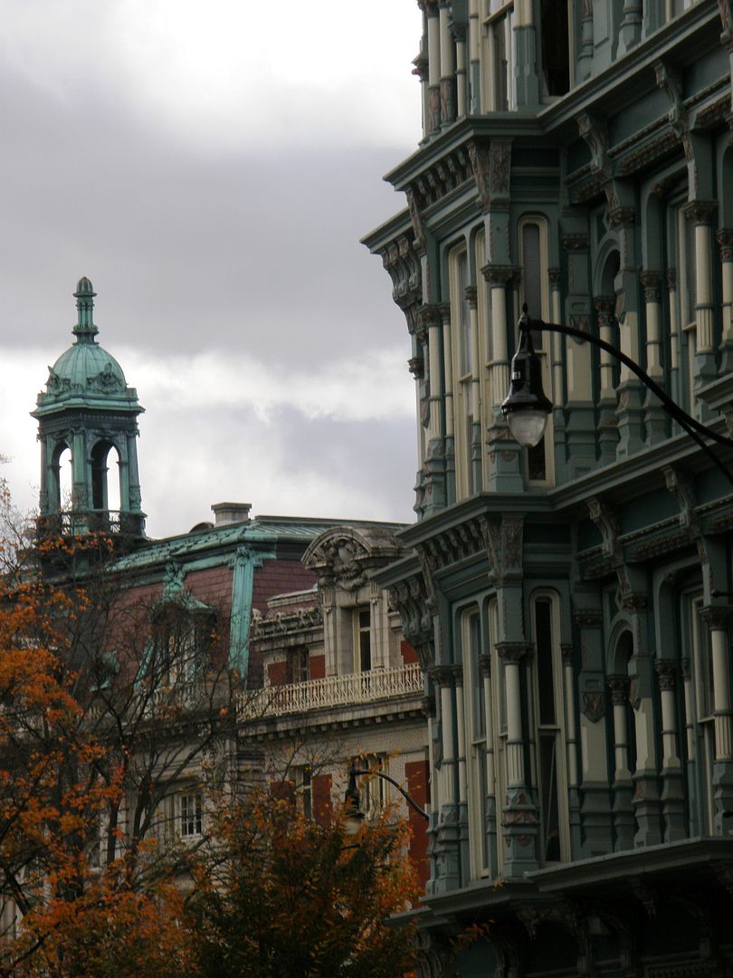 P1010280.jpg