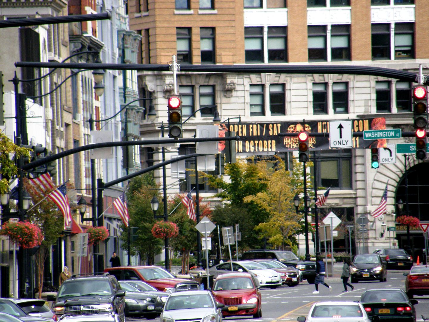 P1010355.jpg