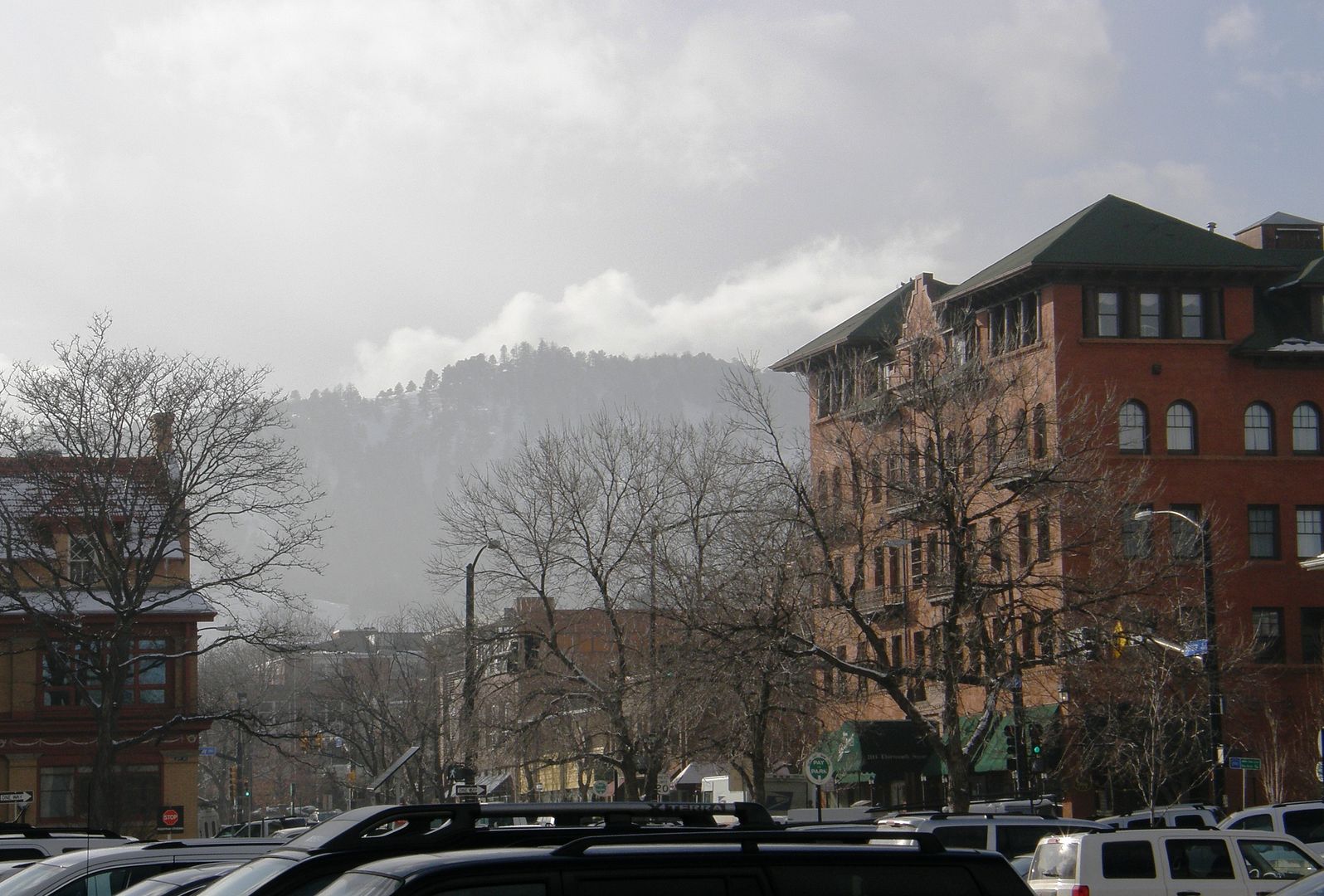 P2100235.jpg