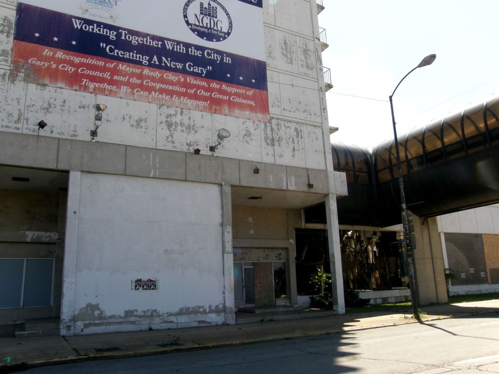 P8050772.jpg