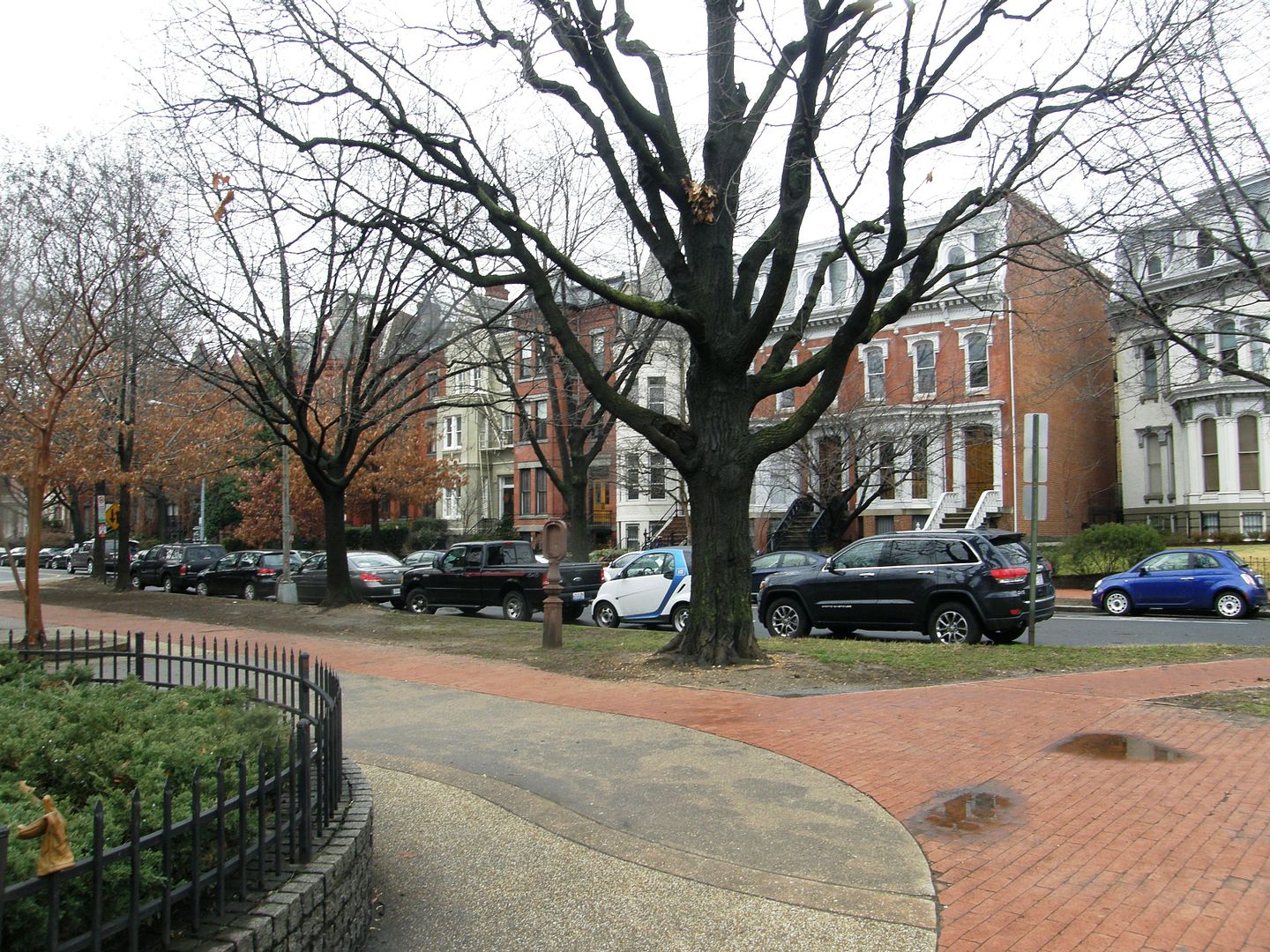 P1010612-1.jpg