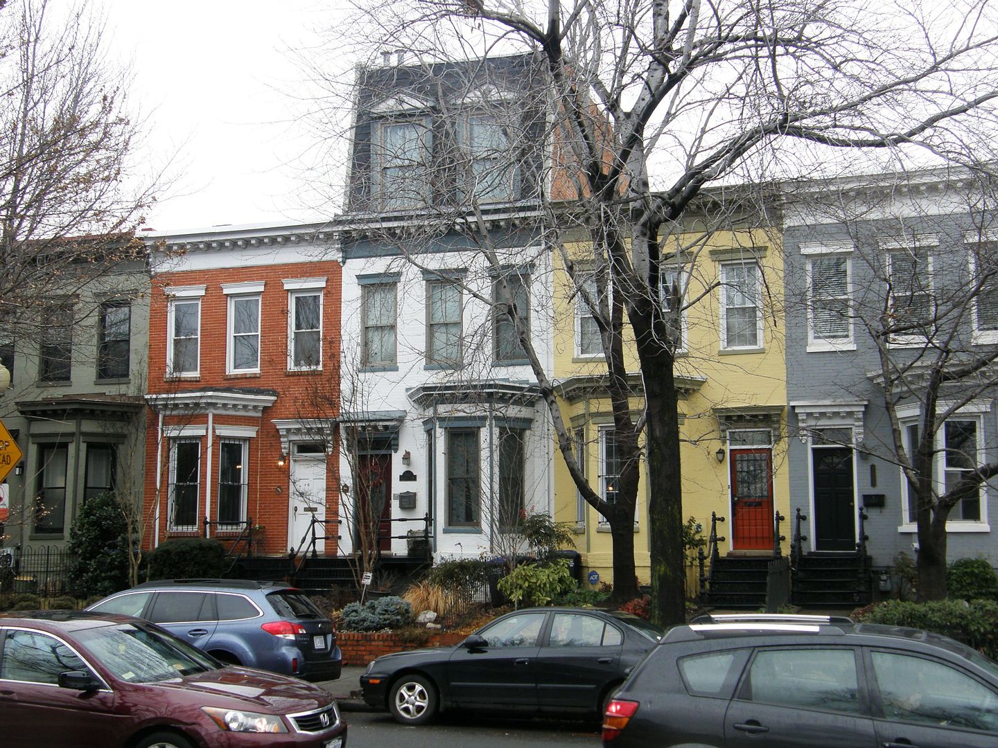 P1010637-1.jpg