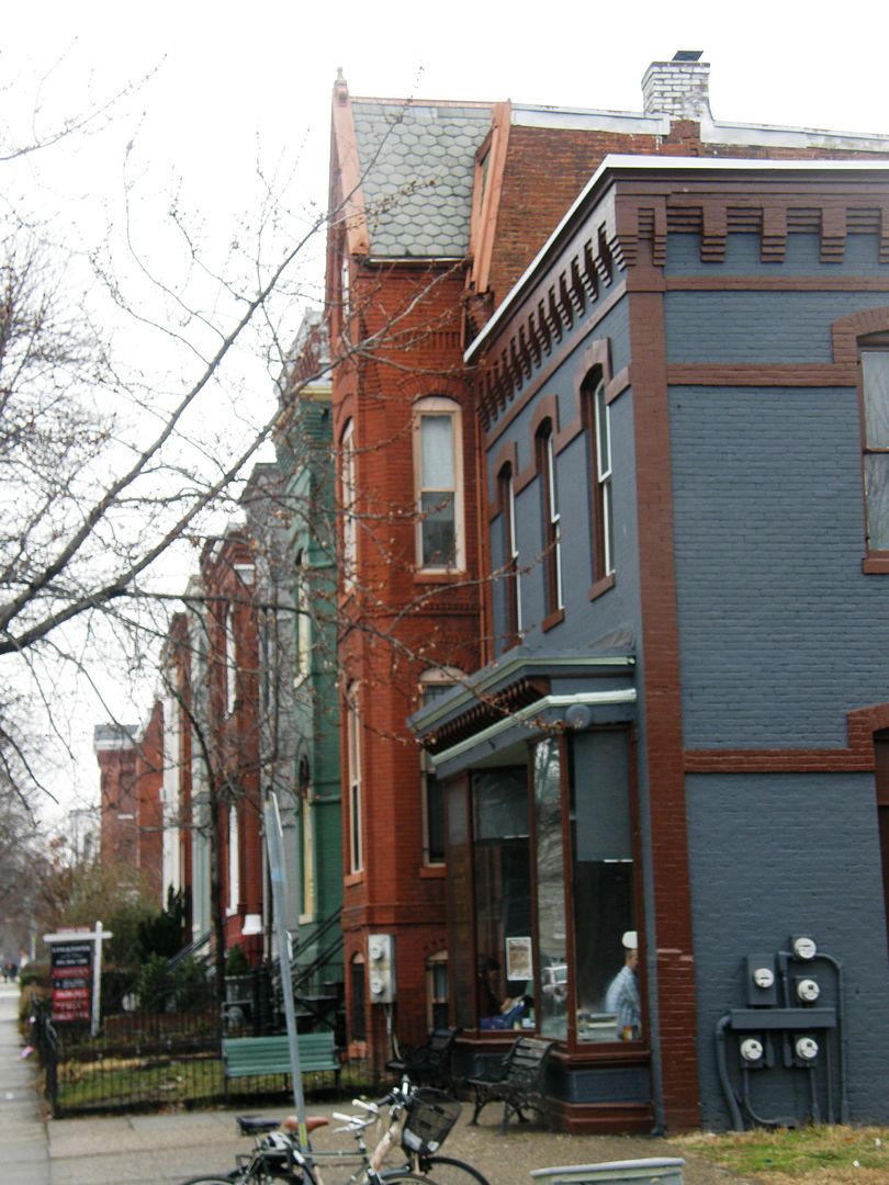 P1010642-1.jpg