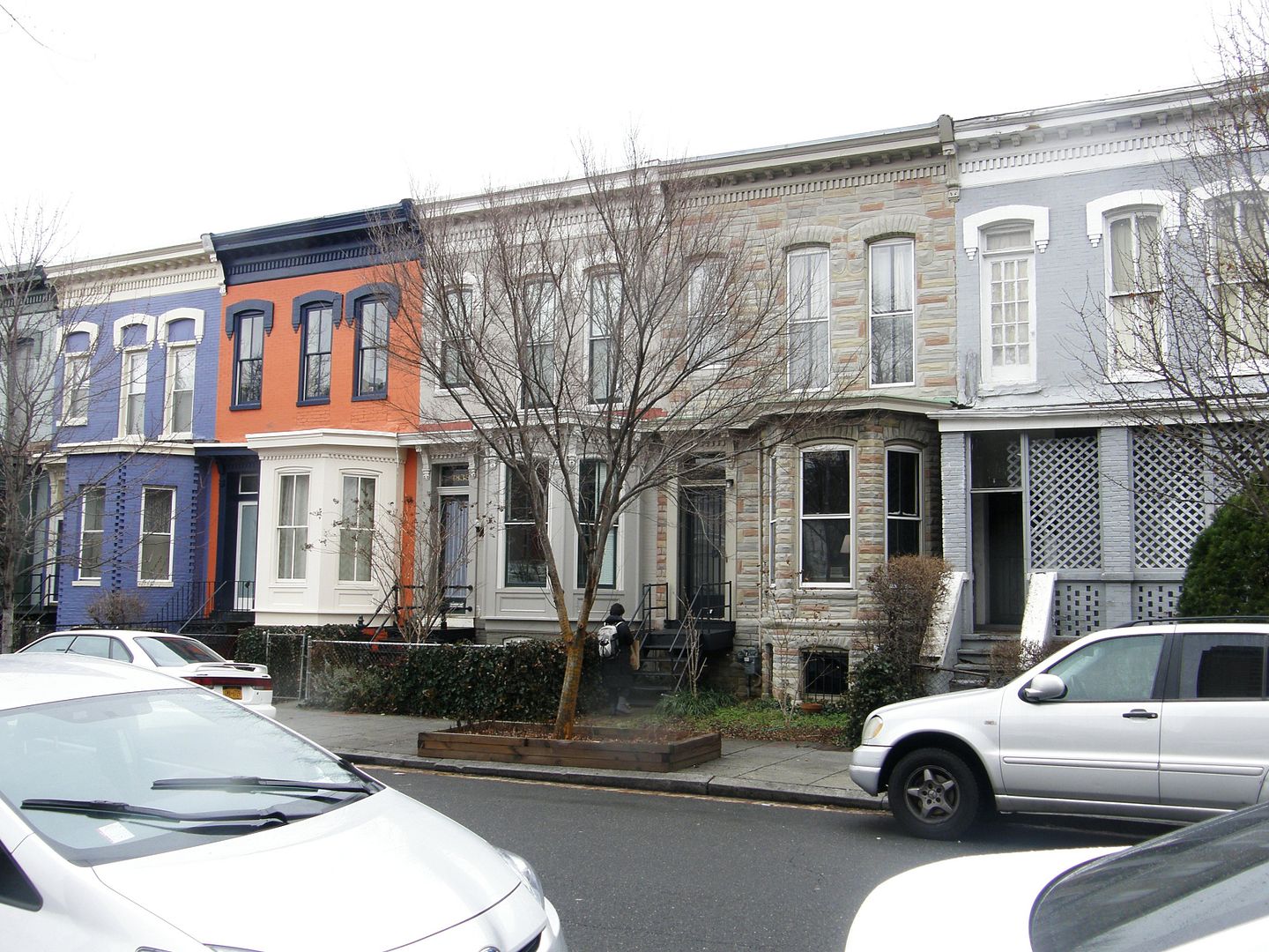P1010645-1.jpg