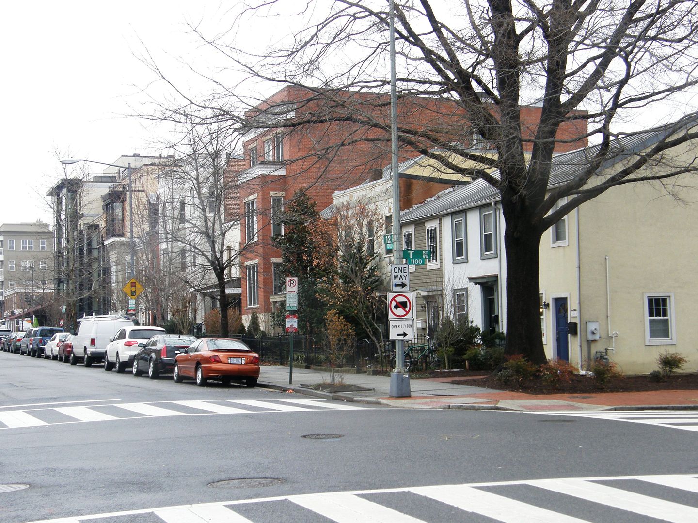 P1010647-1.jpg