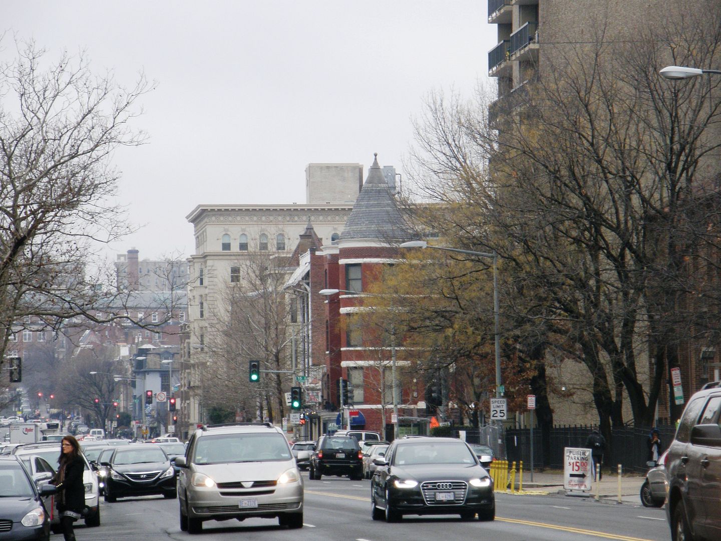 P1010662-1.jpg