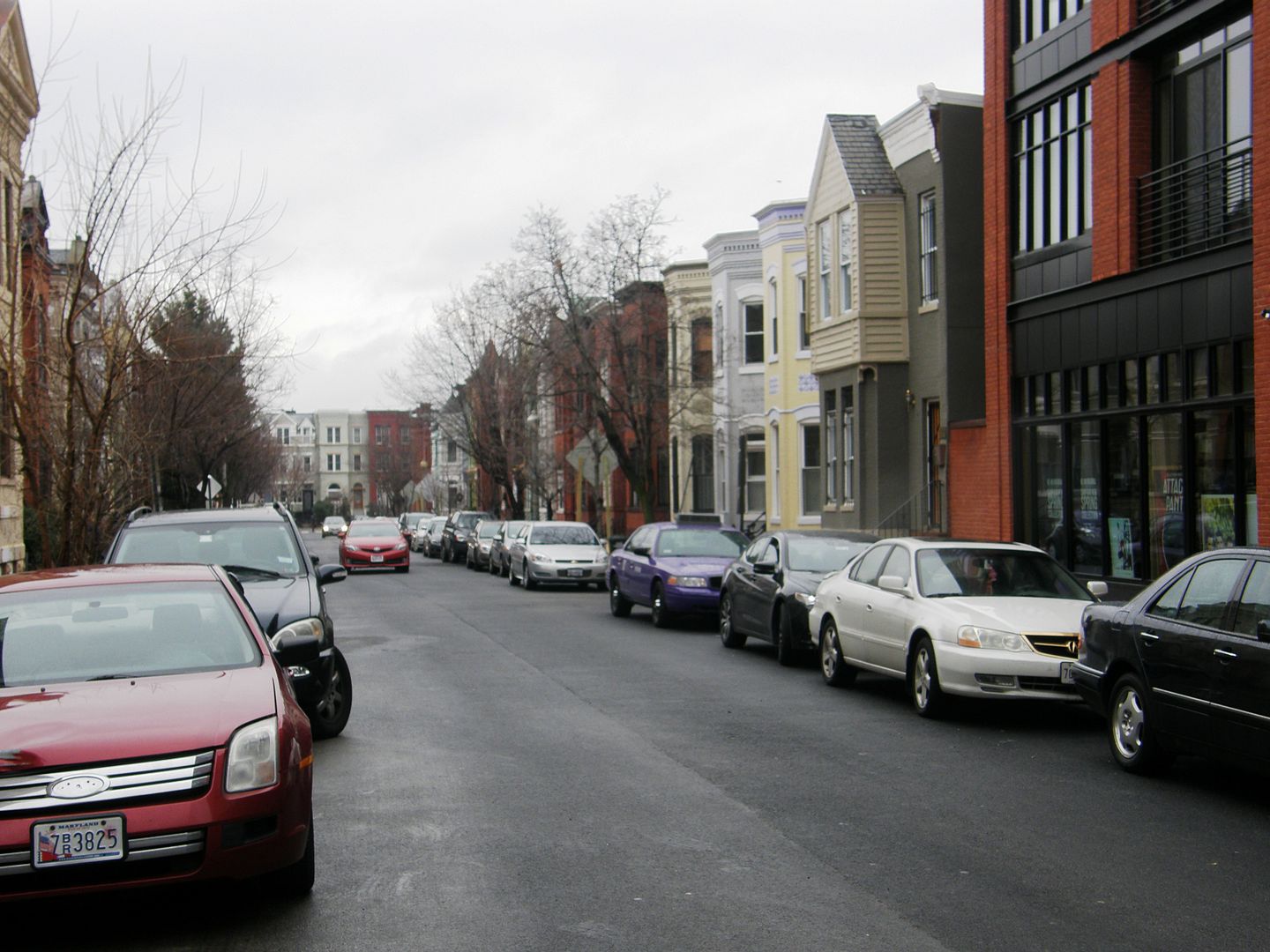 P1010663-1.jpg