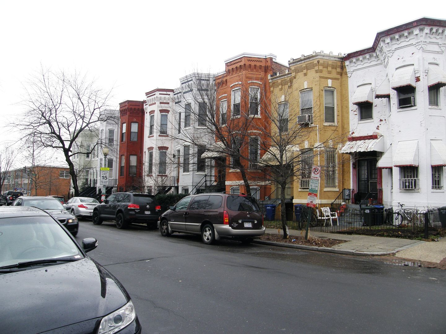 P1010667-1.jpg