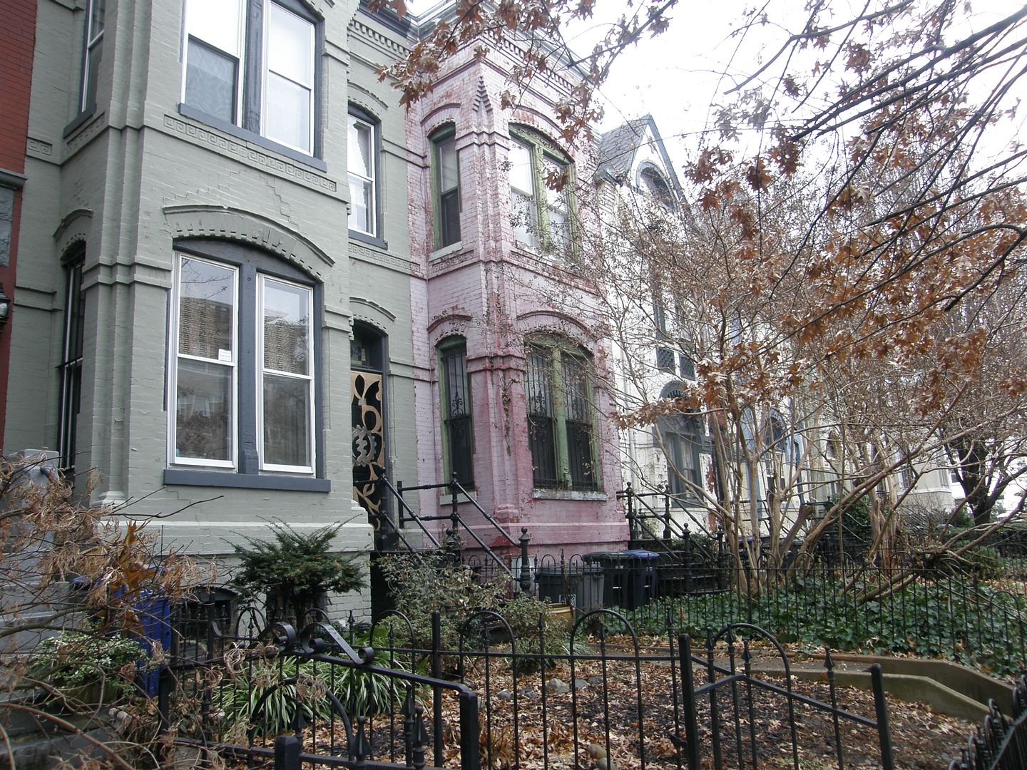 P1010675-1.jpg