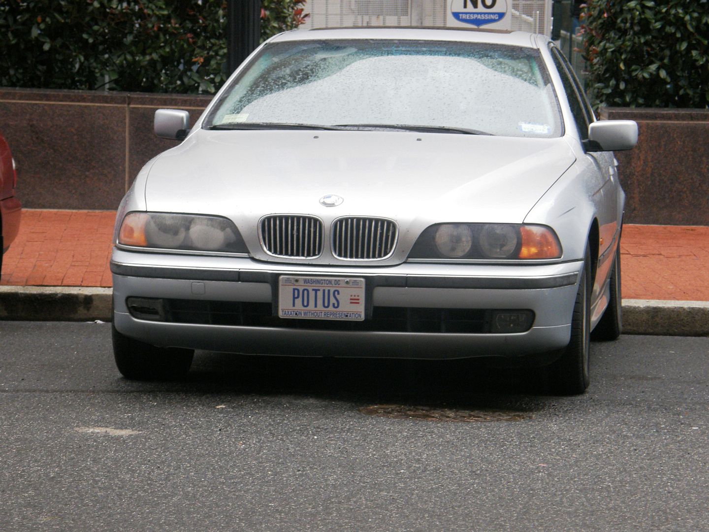 P1010686-1.jpg
