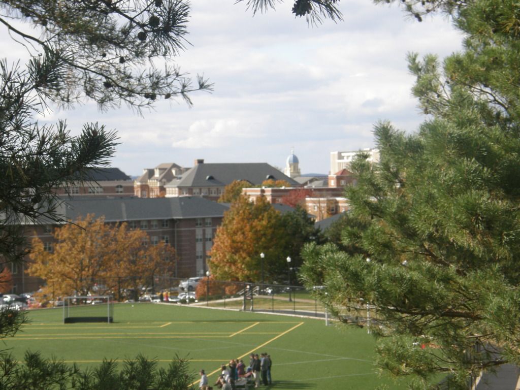 PA200473.jpg