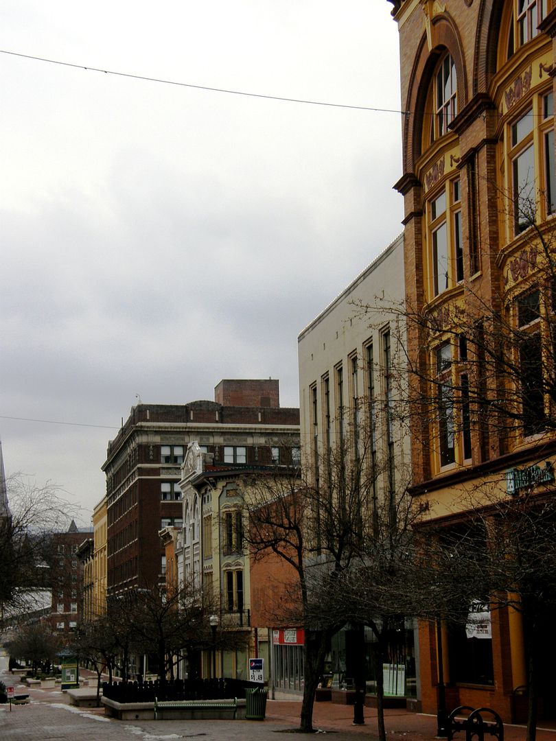 P1010852.jpg