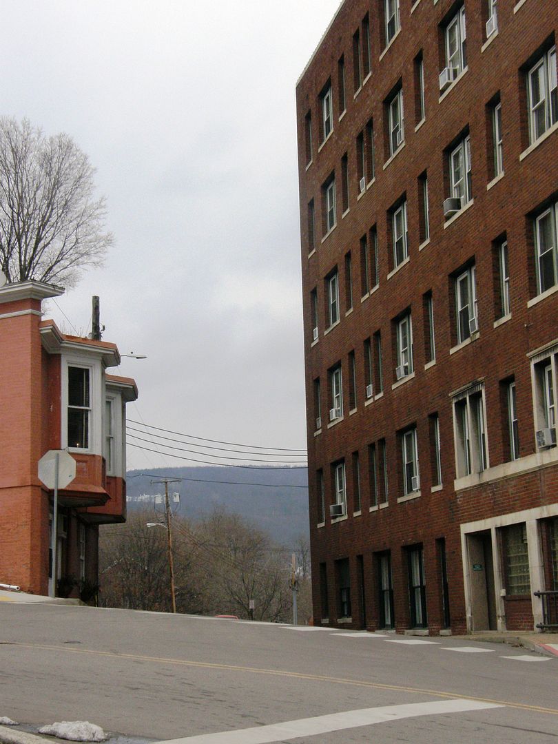 P1010939.jpg