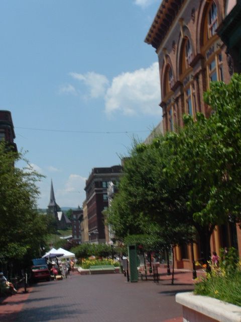 fenwicketc066.jpg