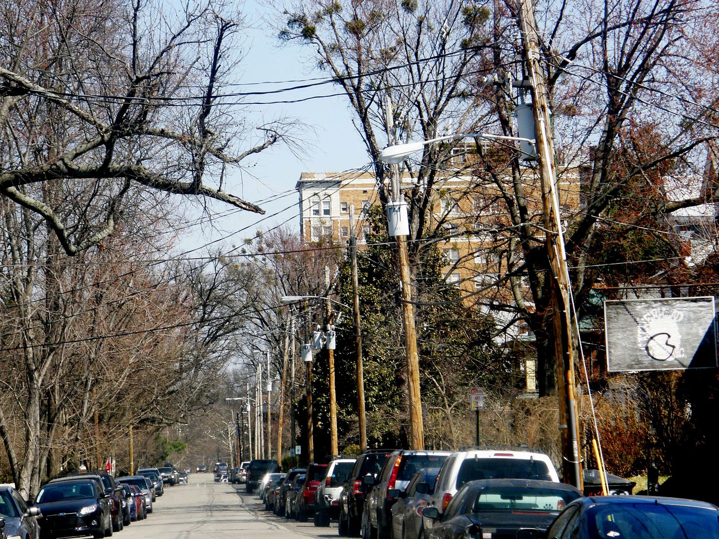 P3220521.jpg