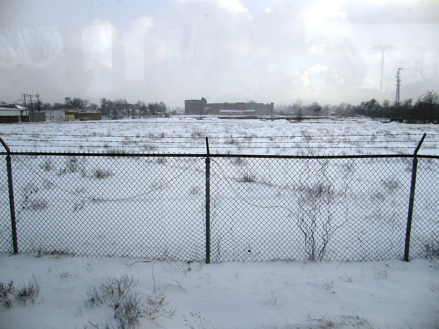P1011073.jpg