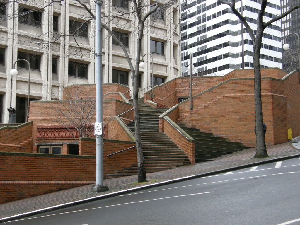 P3130181.jpg