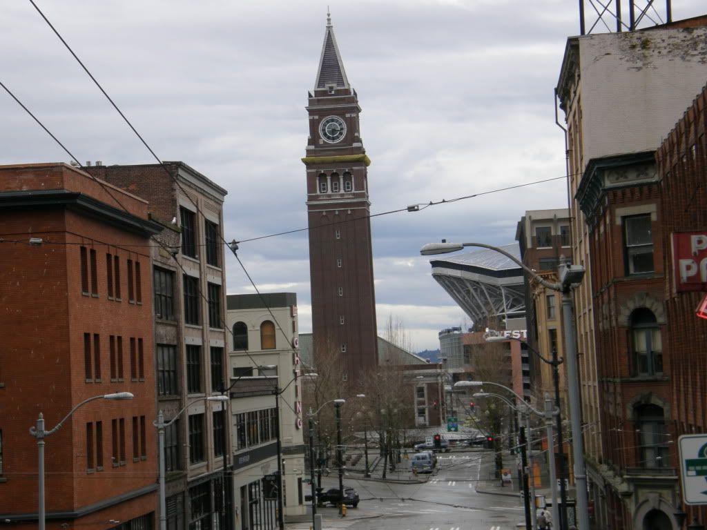 P3130185.jpg
