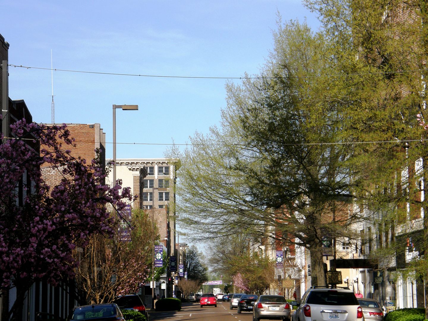 P1010483%20-%20Copy.jpg