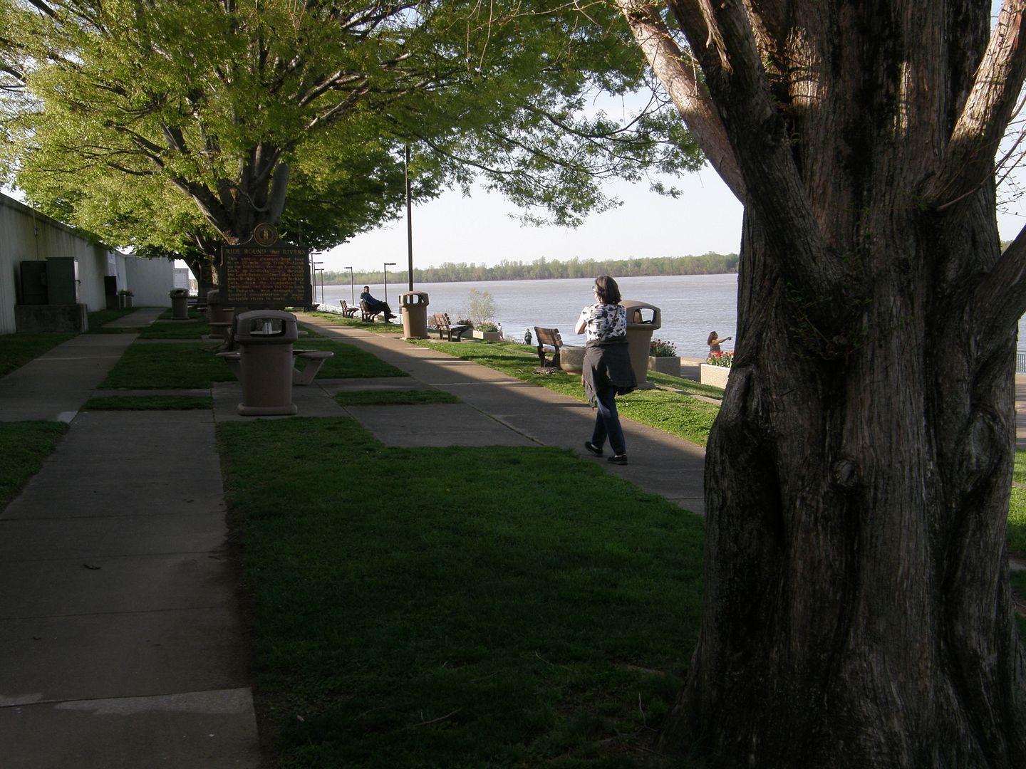 P1010489%20-%20Copy.jpg